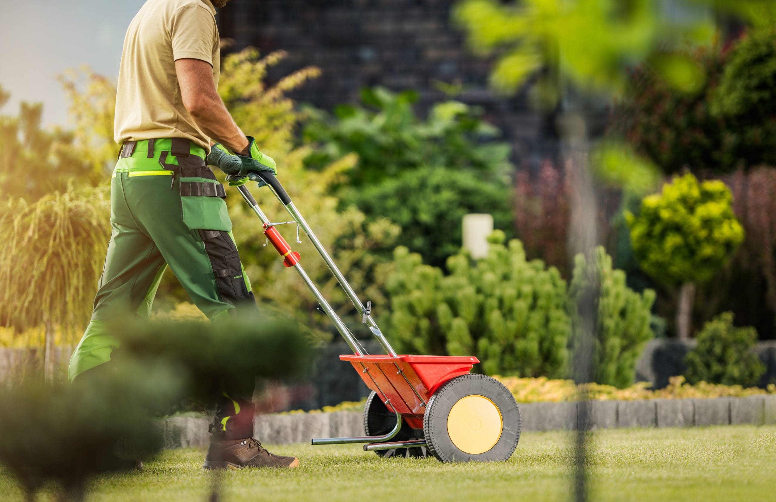 lawn fertilization services Port Washington, WI/lawn fertilization Port Washington, WI lawn fertilization services Port Washington, WI/lawn fertilization Port Washington, WI